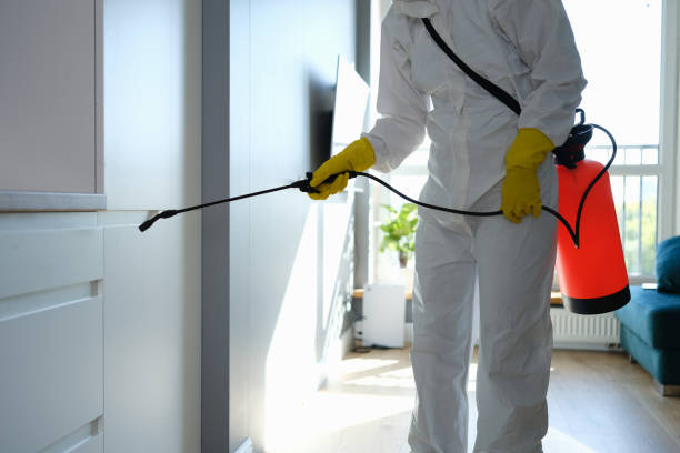 Best Asbestos and Lead Testing During Mold Inspection  in Beach City, TX