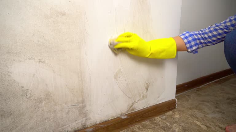 Best Dehumidification Services  in Beach City, TX