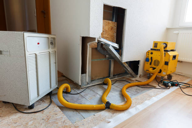 Mold Odor Removal Services in Beach City, TX