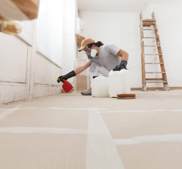 Best Black Mold Removal  in Beach City, TX