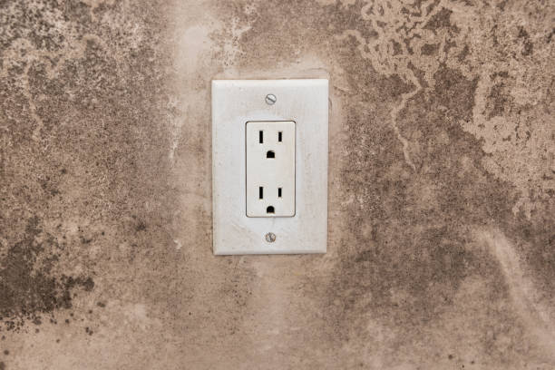 Best Mold Removal for HVAC Installations  in Beach City, TX