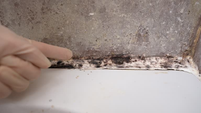 Mold Documentation for Insurance Claims in Beach City, TX
